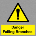 danger-falling-branches~
